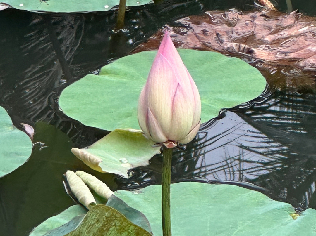 Samadhi Yoga Ashramaya-班托塔必去景点