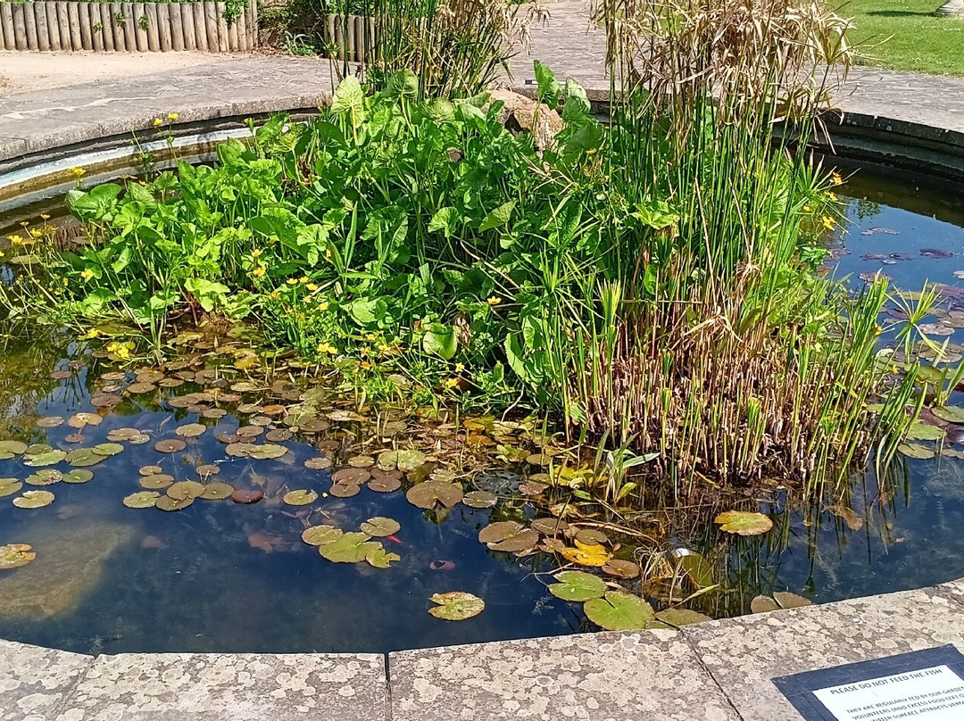 Danson Park-贝克斯利希斯必去景点