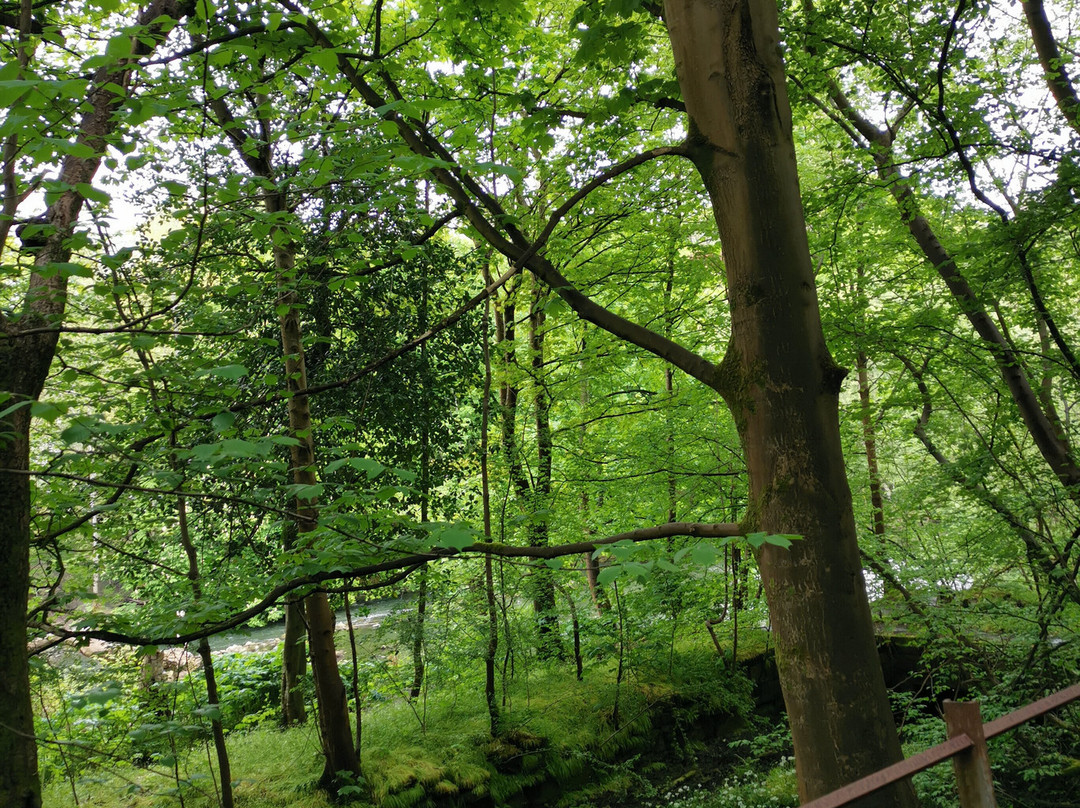 Kelvingrove Park-格拉斯哥必去景点