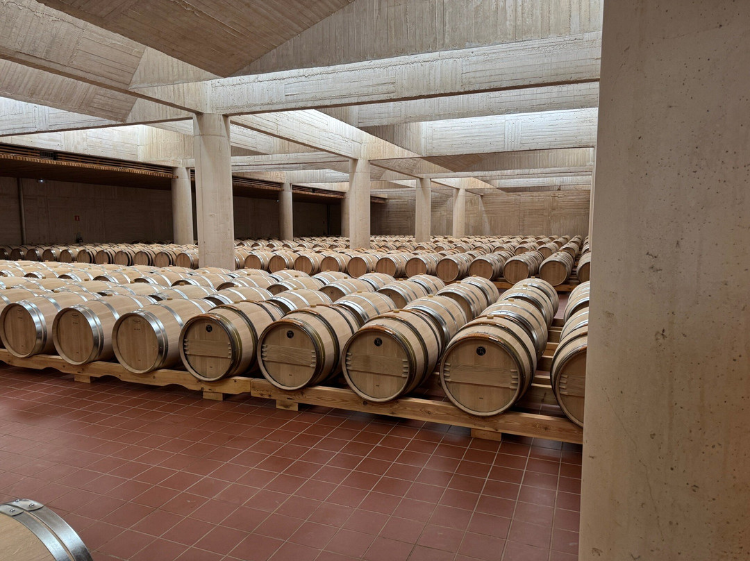 Pago de Carraovejas Winery-Penafiel必去景点