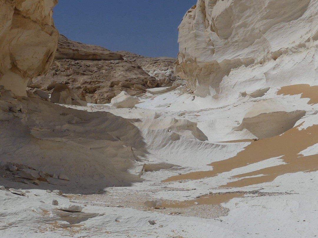 Egypt Camp White Desert-Bawiti必去景点