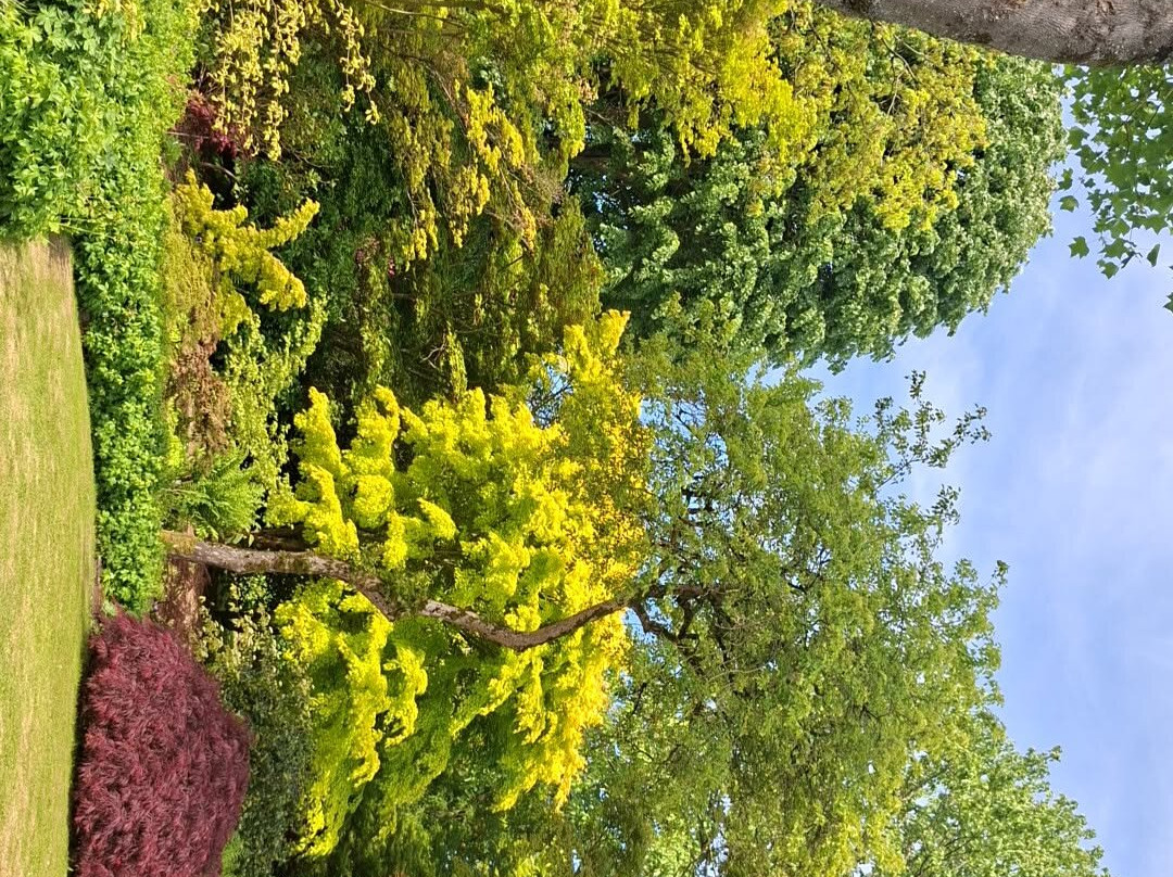 Jardin du Mesnil-Monterolier必去景点