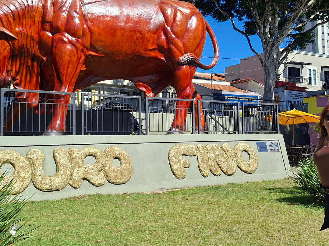 Monumento Boi Sem Coração-Ouro Fino必去景点