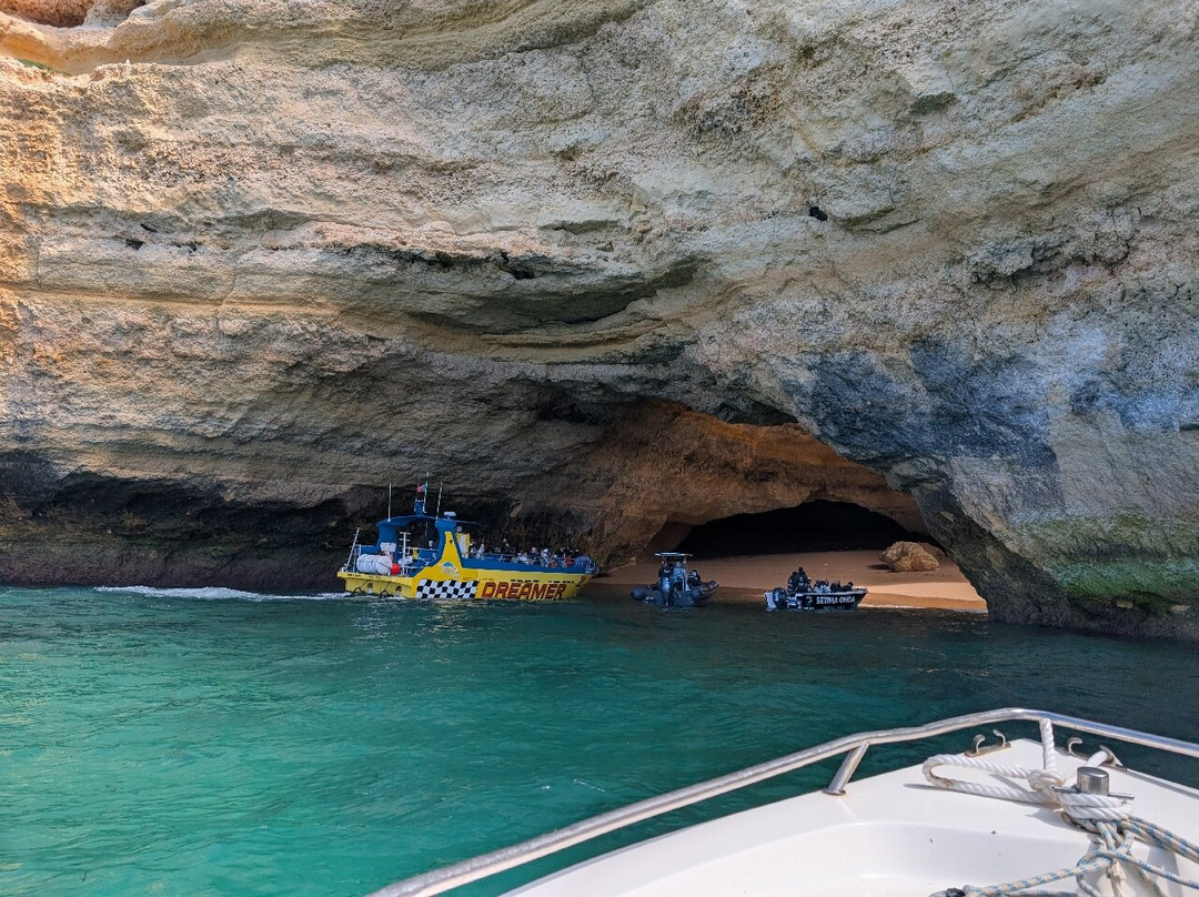 Aurora Boat Trips-阿玛考德佩拉必去景点