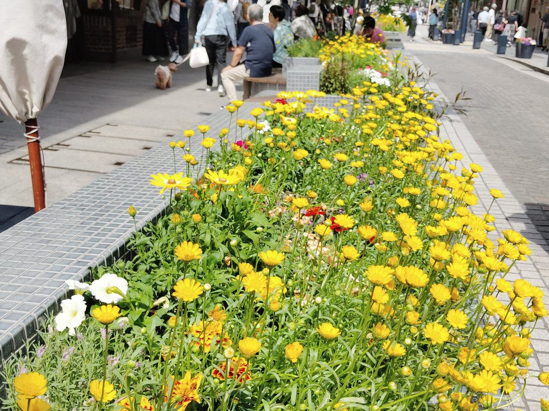 Yokohama Motomachi Shopping Street-横滨市必去景点