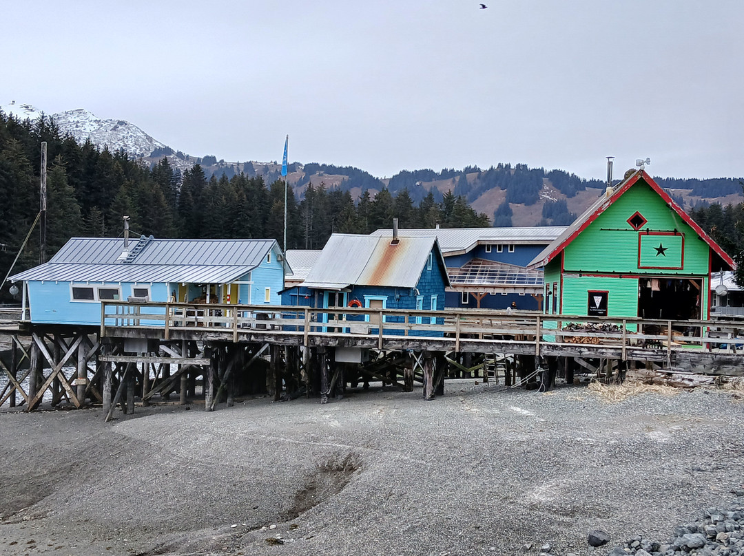 Seldovia Nature Tours-Seldovia必去景点