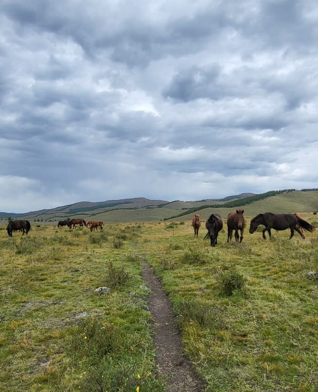 Green Clover Tour Mongolia-乌兰巴托必去景点