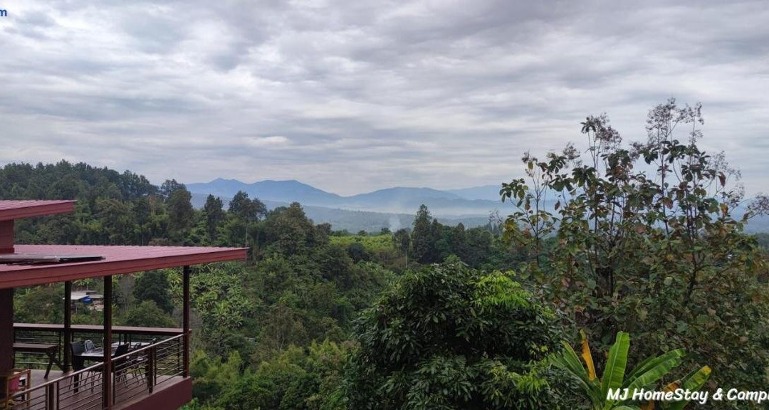 MJ Homestay & Camping