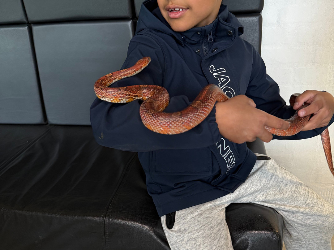 Dyrenes Verden Filskov Mini Zoo i Billund-格林斯泰兹必去景点