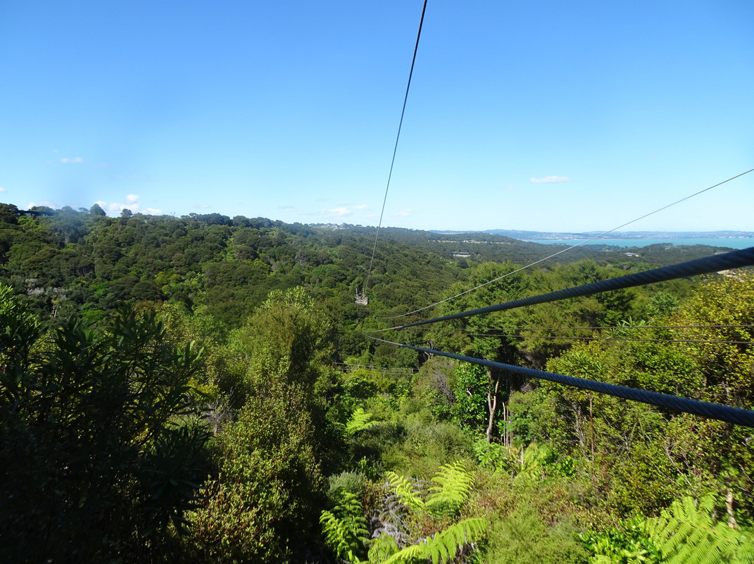 Ecozip Adventures Waiheke Island-欧尼罗亚必去景点