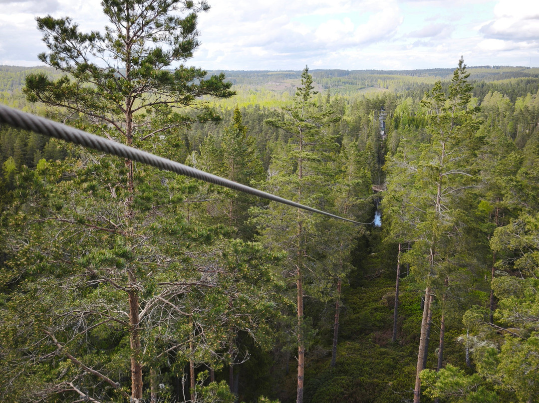 Sweden Zipline-Klavrestrom必去景点