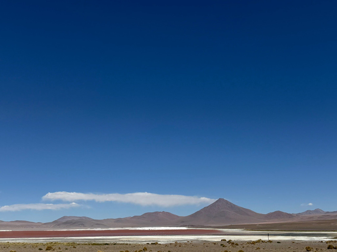Laguna Colorada-乌尤尼必去景点