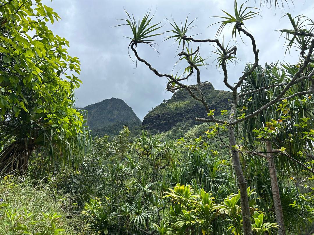 Ha'ena State Park-可爱岛必去景点