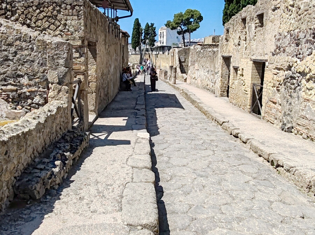 Archeological Park of Herculaneum-埃尔科拉诺必去景点