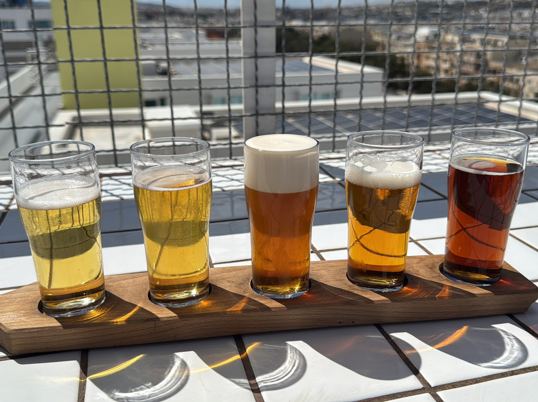 Farsons Brewery Experience-Birkirkara必去景点