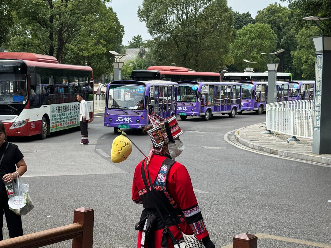 石林风景区-石林彝族自治县必去景点