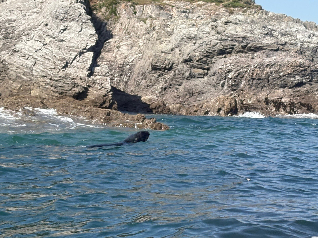 Sea Kayak Devon-达特茅斯必去景点