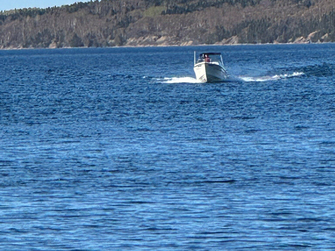 Gypsy Sea Adventures-Clarenville必去景点