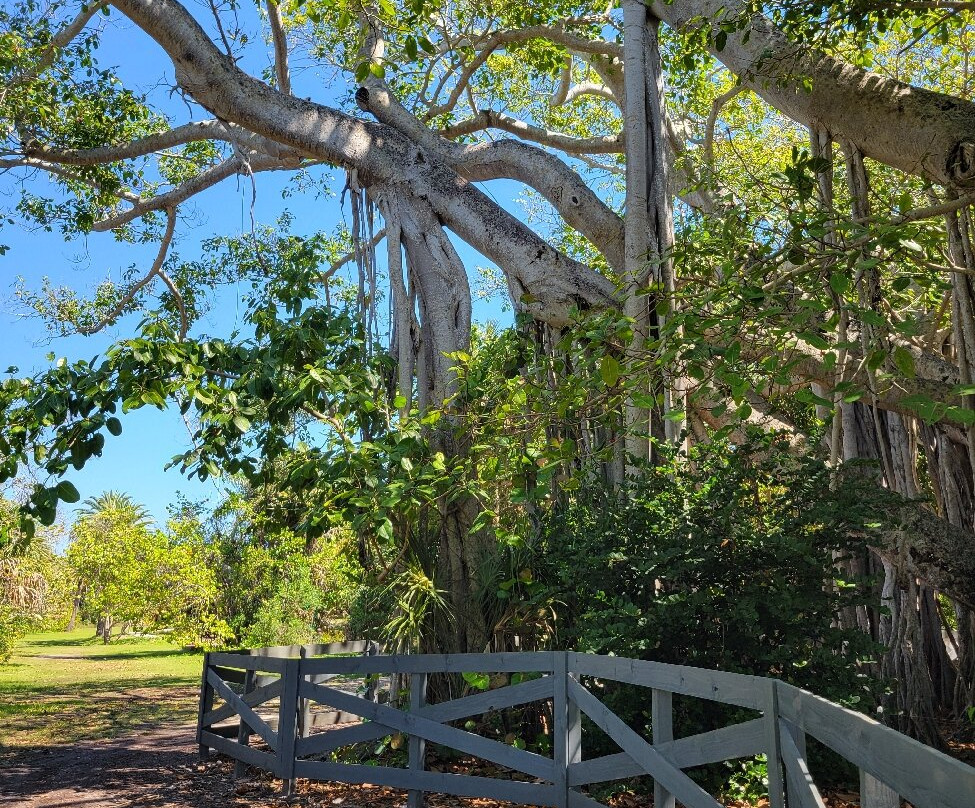 Hugh Taylor Birch State Park-劳德代尔堡必去景点