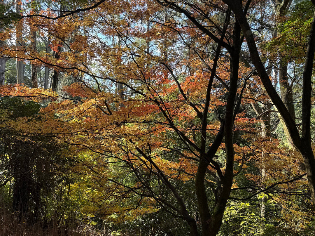 Alfred Nicholas Memorial Gardens-希尔布鲁克必去景点