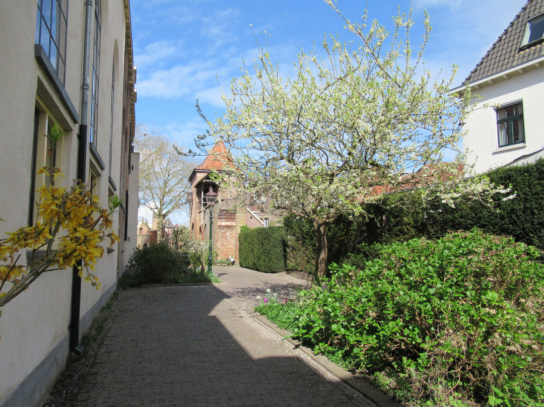 Stadsmuur Waltorens Armenhage-Zutphen必去景点