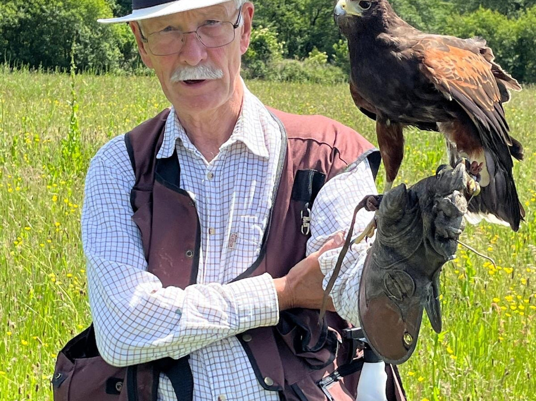 North Devon Hawk Walks-South Molton必去景点