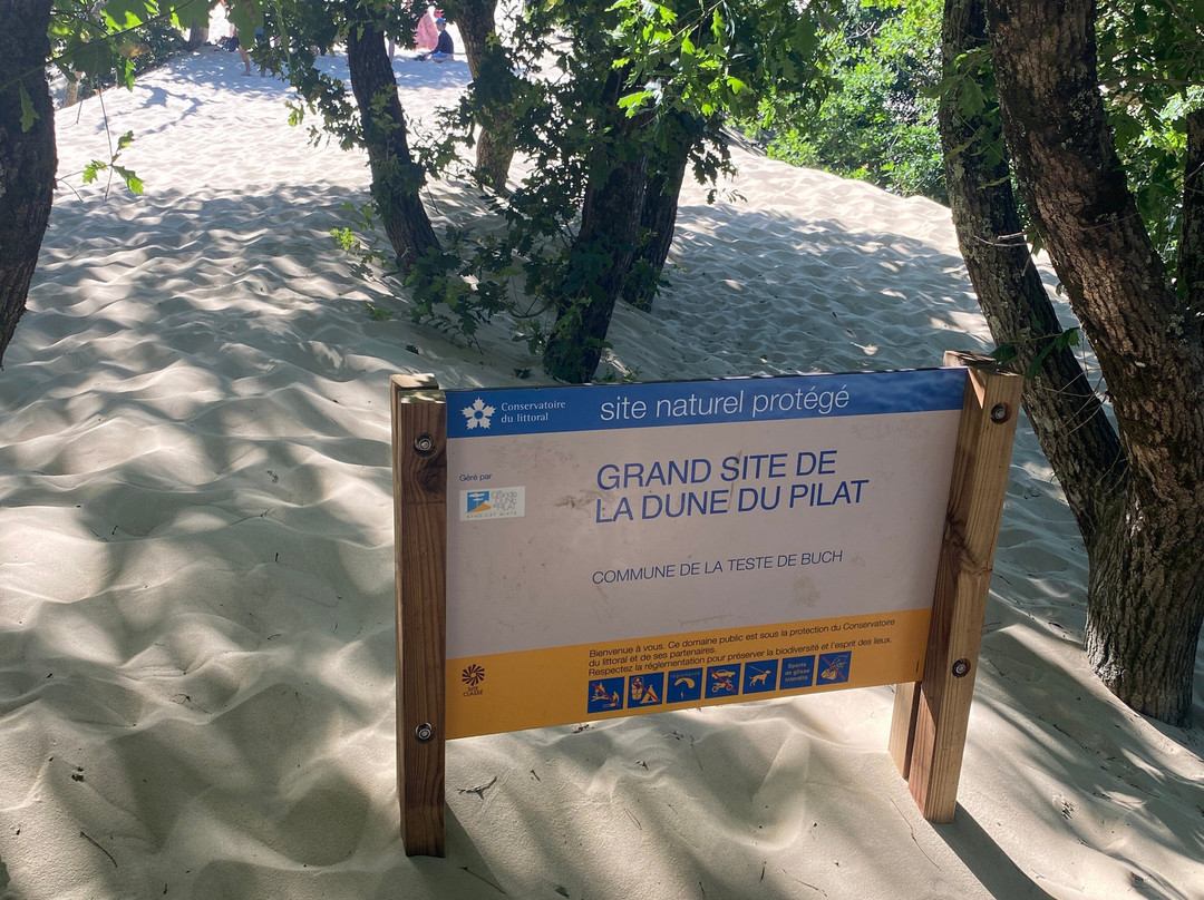 Great Dune of Pilat-拉泰斯特德比克必去景点