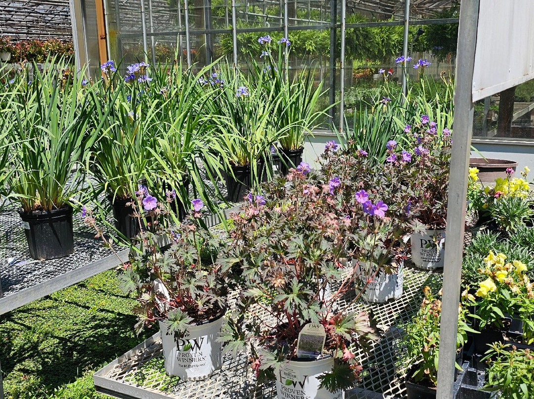 Grier Nursery & Greenhouses-Forest Hill必去景点