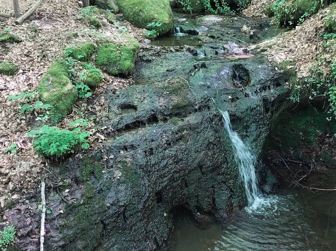 Parco Vivo Toscana-Vivo d'Orcia必去景点