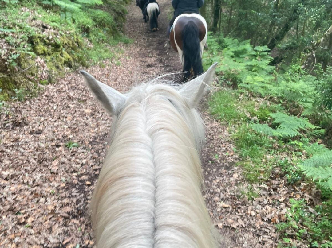 Burrowhayes Farm Riding Stables-Porlock必去景点