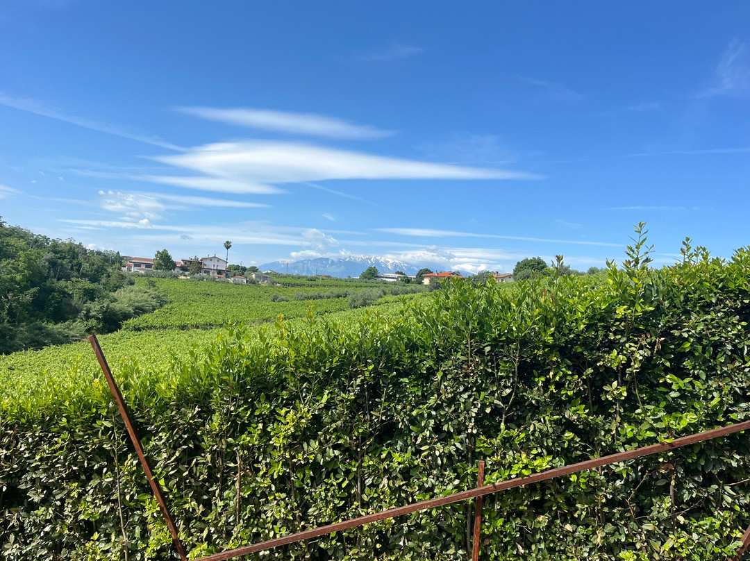 Borgo Baccile by Vini Fantini