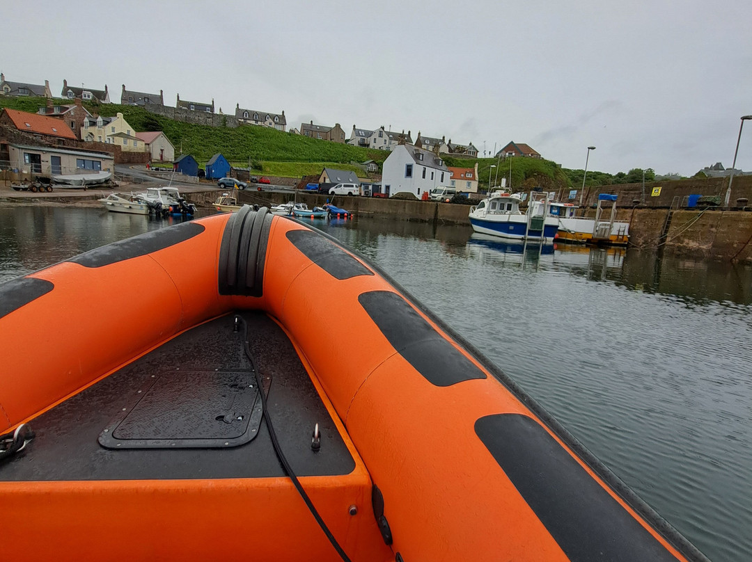 Eyemouth Rib Trips-Eyemouth必去景点