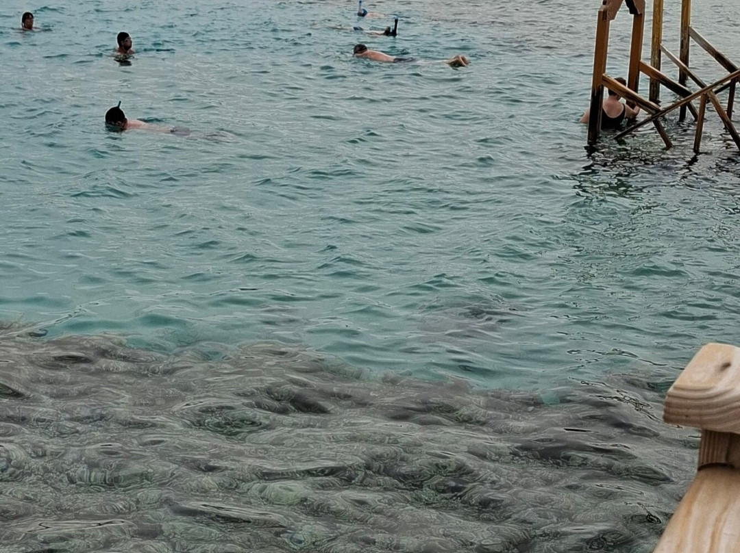 Steg Tropitel Sahl Hasheesh-Sahl Hasheesh必去景点