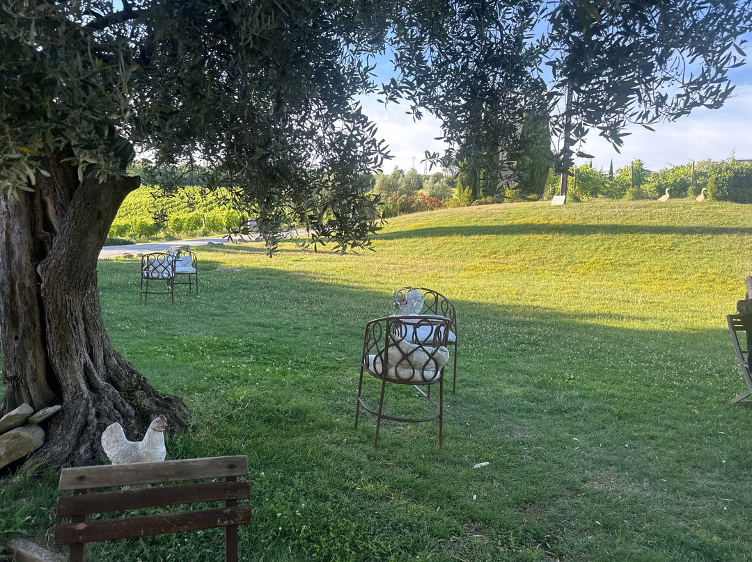 Azienda Agraria Guerrieri-Piagge必去景点