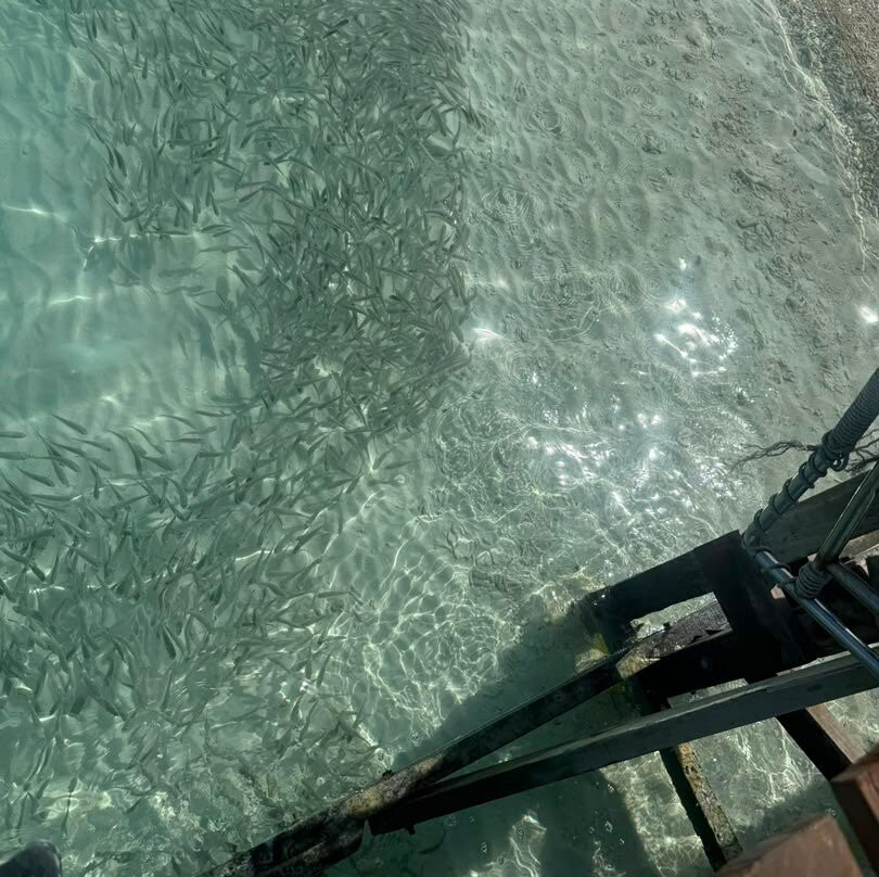 Redang Island Snorkeling Day Trip with Lunch-热浪岛必去景点