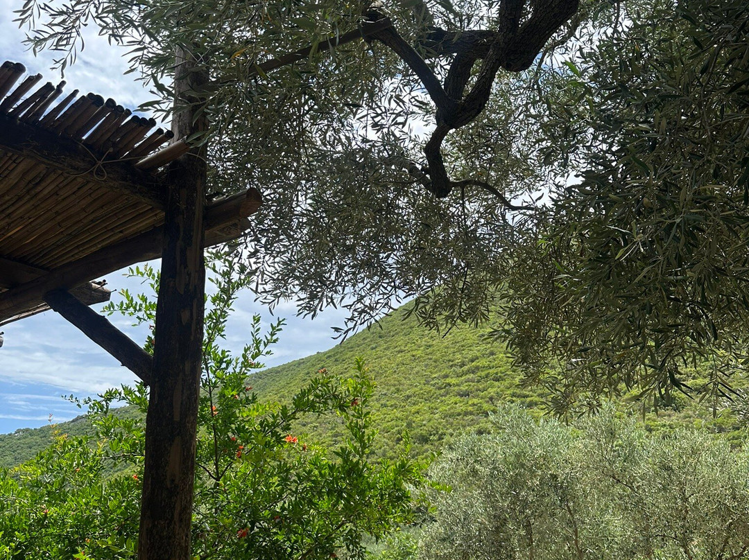 Goumas Estate - Art & Wine Winery-Maries必去景点