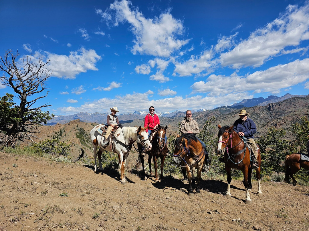 Bill Cody Ranch主图