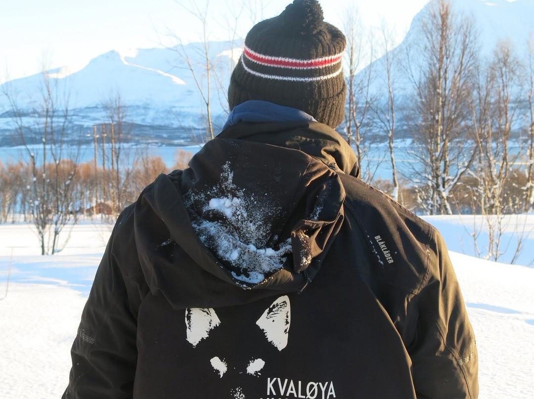 Kvaløya Husky-特罗姆瑟必去景点