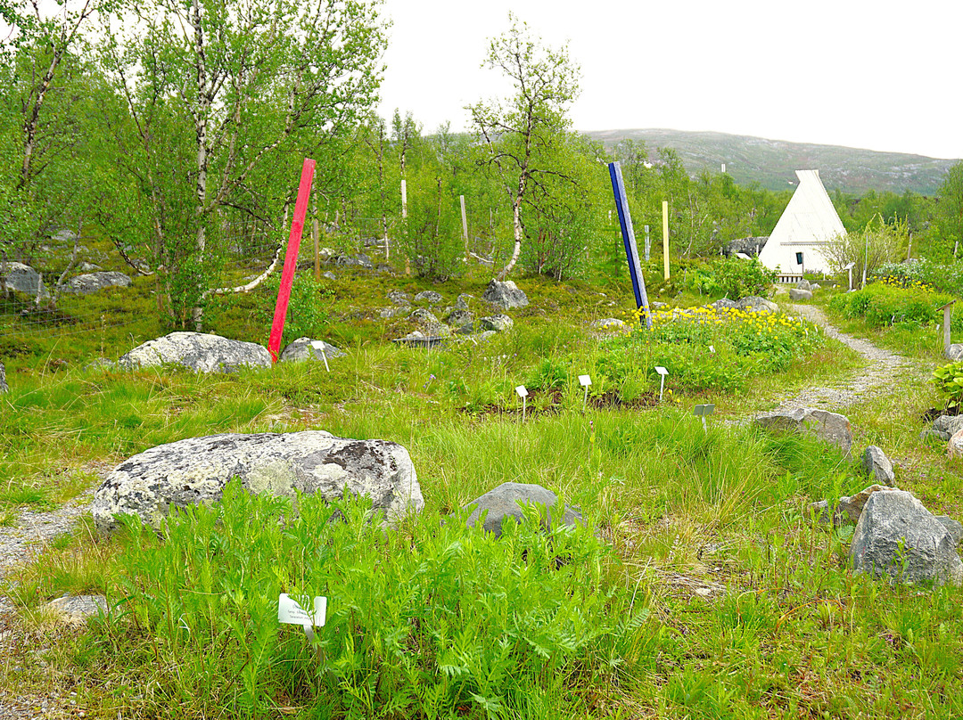 Kilpisjärven Kasvipolku