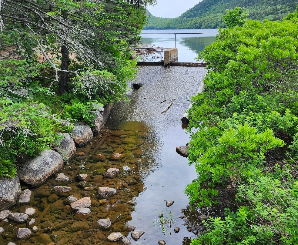 Acadia National Park-巴港必去景点
