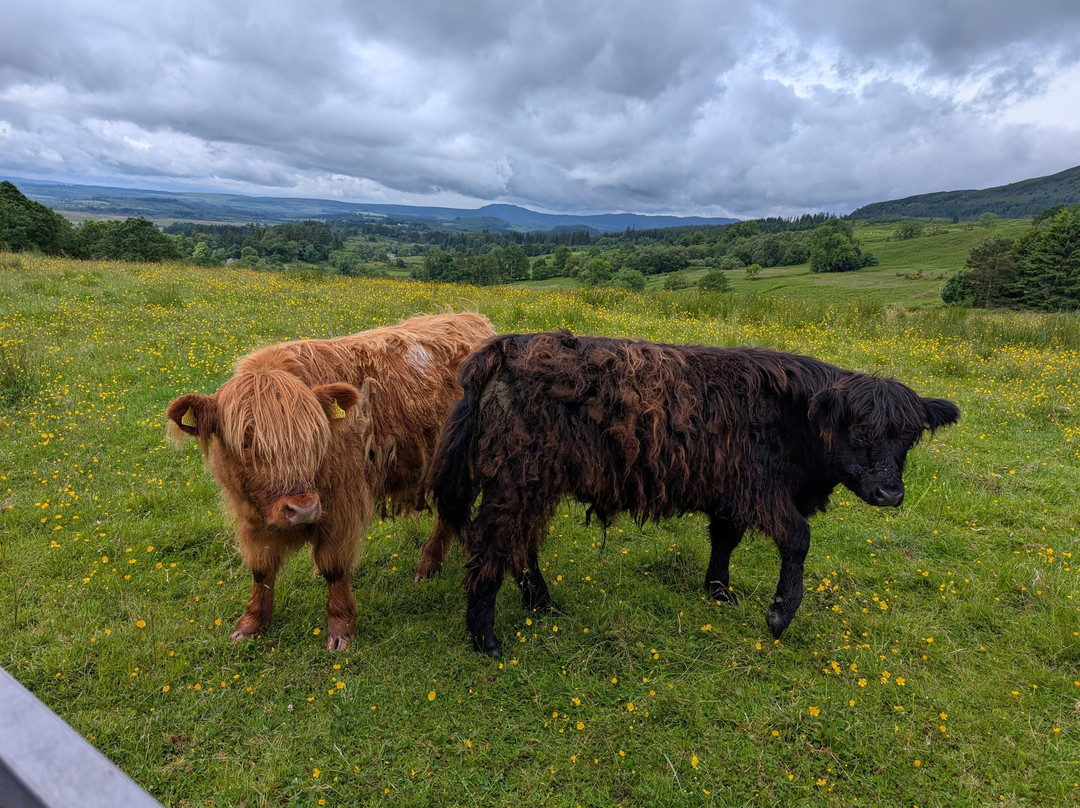Nether Glenny Farm - Coos and Views-斯特灵必去景点