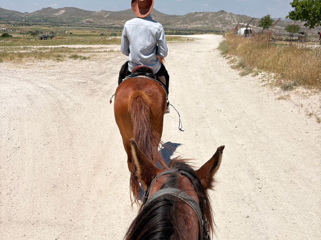 Cappadocia Horse Ranch-内夫谢希尔必去景点