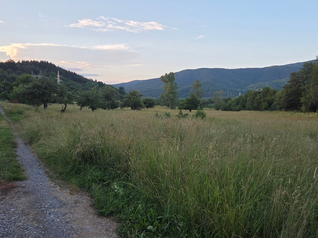 Mountain View Lodge Bulgaria主图