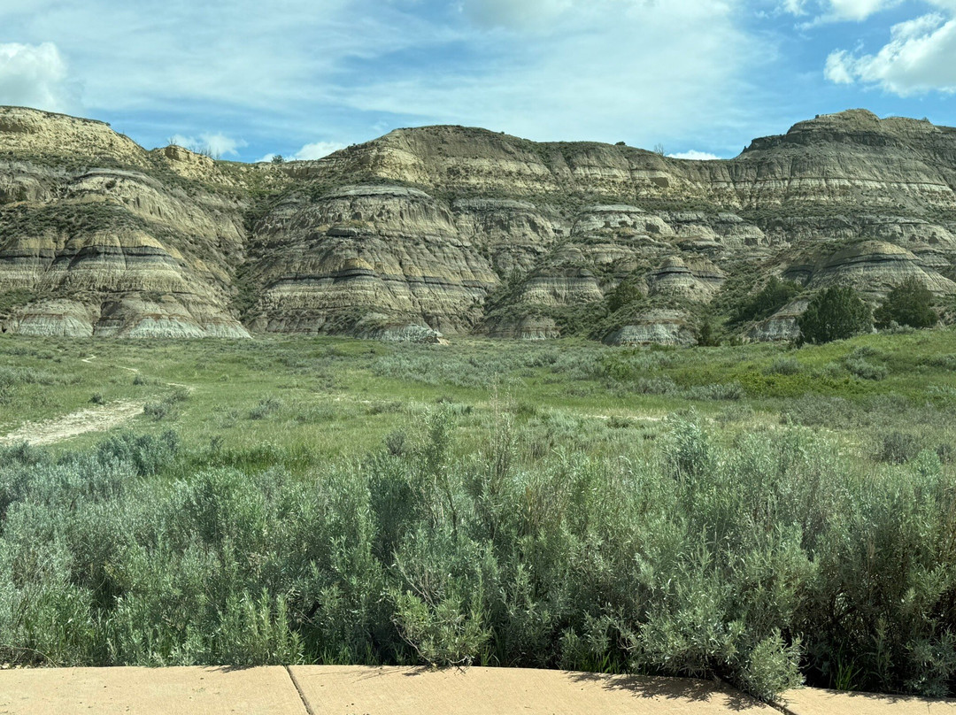 North Unit-Theodore Roosevelt National Park必去景点