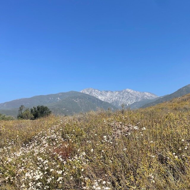 North Etiwanda Preserve-库卡蒙格牧场必去景点