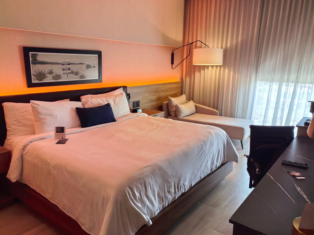 Tryp By Wyndham Ciudad Guzman Uttsa