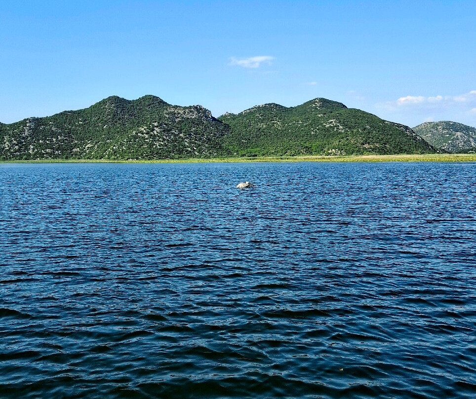 Lake Skadar-黑山共和国必去景点