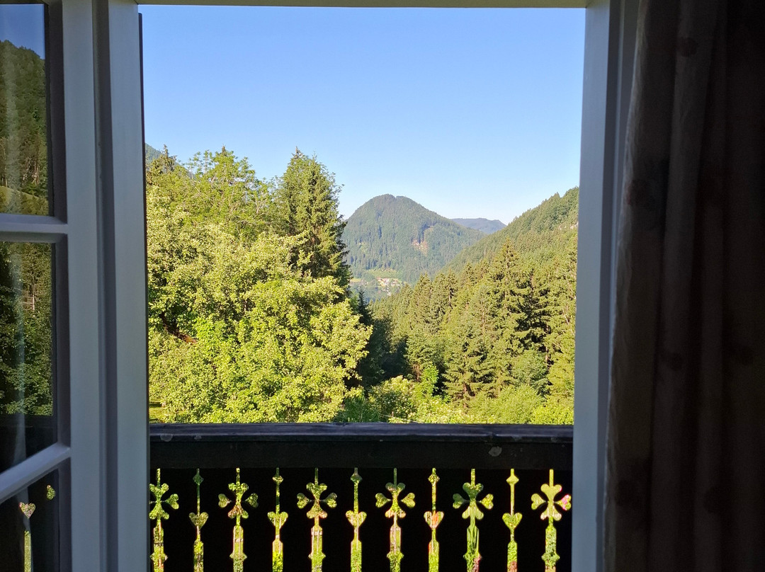 Charming Farm Retreat with Yoga & Ayurveda "Me Yoga Healing"-Lunz am See必去景点