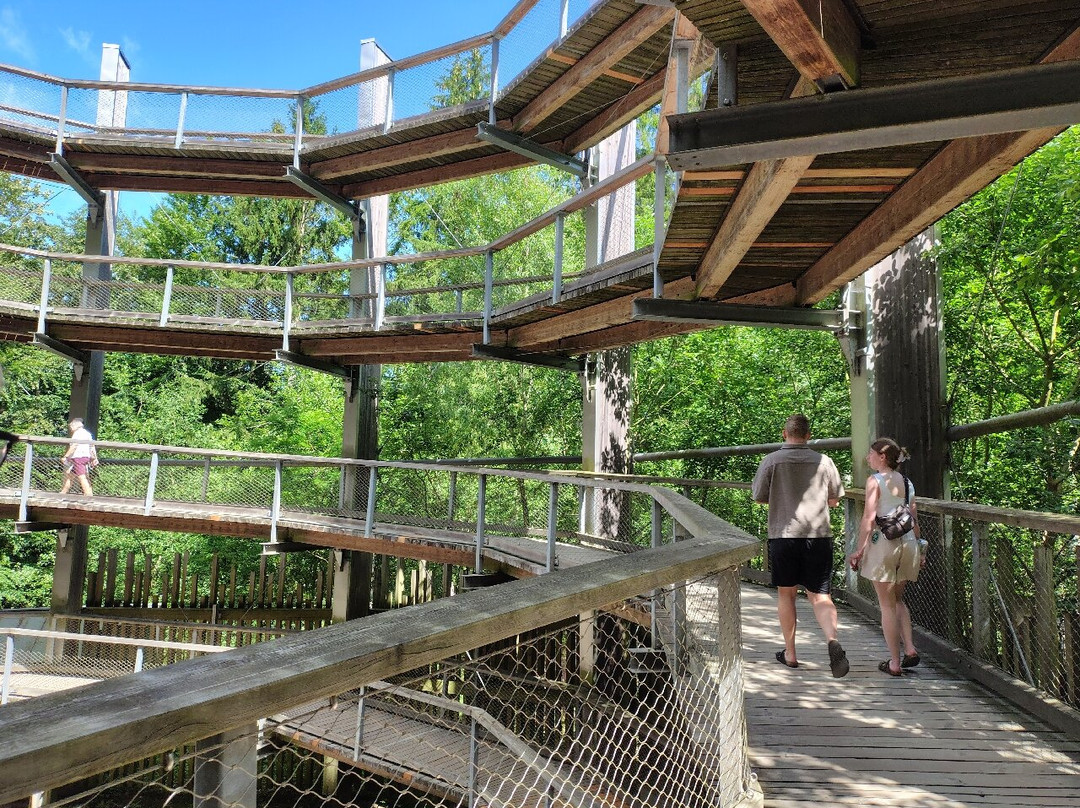 Baumwipfelpfad im Naturerbe Zentrum Rügen-奥茨巴德宾兹必去景点