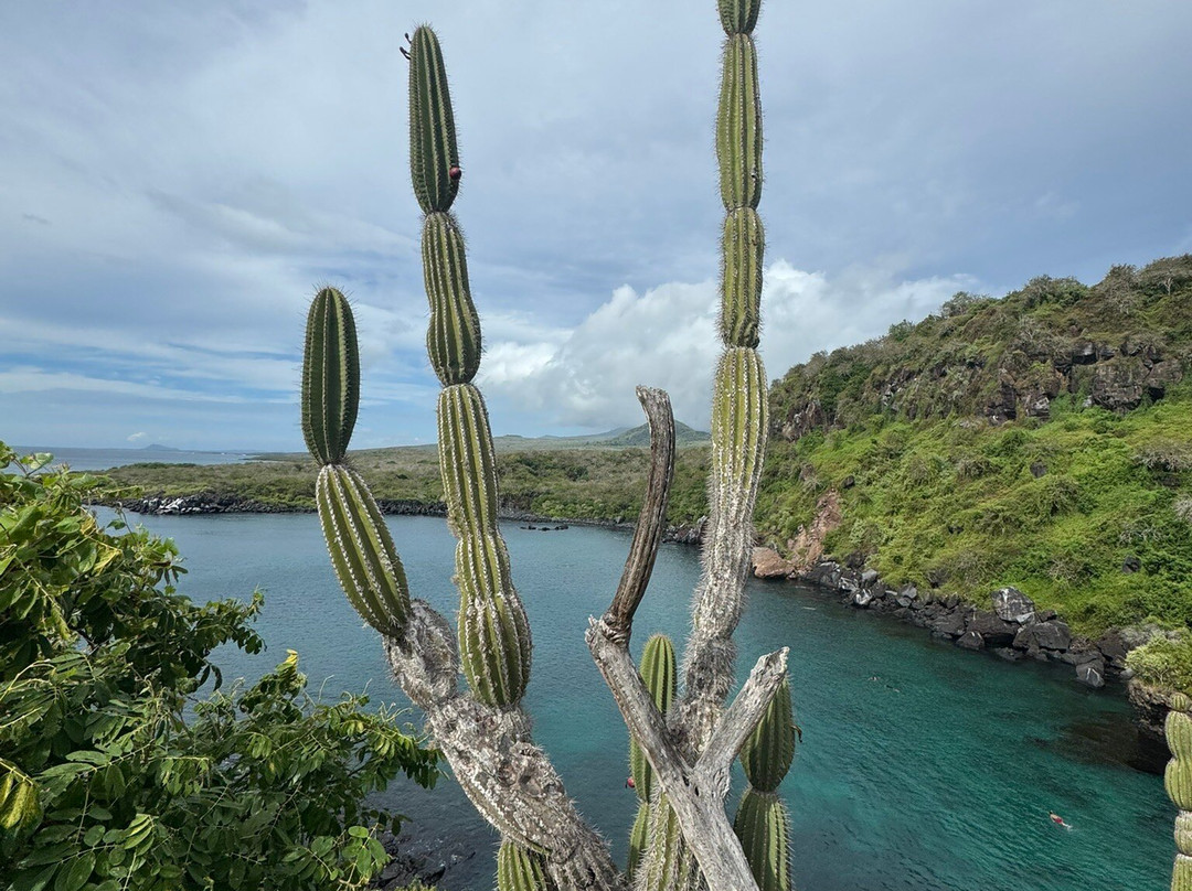 Estatua de Charles Darwin-Puerto Baquerizo Moreno必去景点